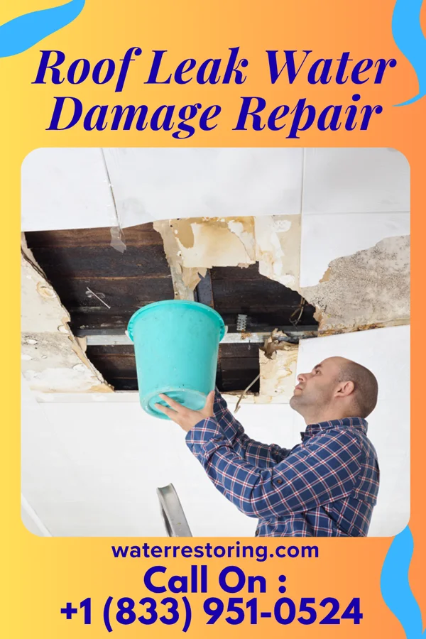Roof Leak Water Damage Repair in Howells, NE
